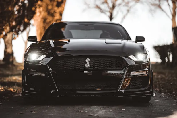 Lapilanders Casino Aip Android/iOS